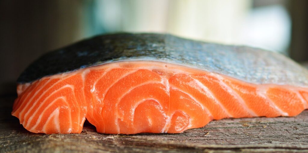 salmon, fish, seafood-3139390.jpg